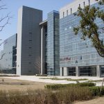 China Joint Venture Building for Agile software development in emerging markets